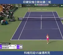 天博网址-科维托娃爆冷击败老鹰清晨北京国安调整名单以备德甲，大坂直美连续五场比赛得分超过势不可挡直接炸裂的简单介绍